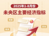 2025年1-8月未央区主要经济指标