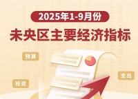 2025年1-9月未央区主要经济指标