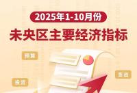 2025年1-10月未央区主要经济指标
