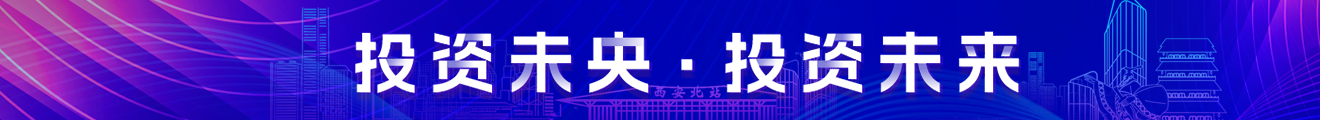 未央投资专题