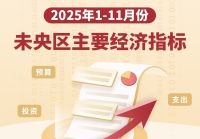 2025年1-11月未央区主要经济指标